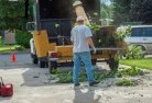 Lidsdaletree-cutting-services-13.jpg; ?>