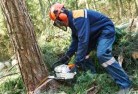 Lidsdaletree-cutting-services-21.jpg; ?>